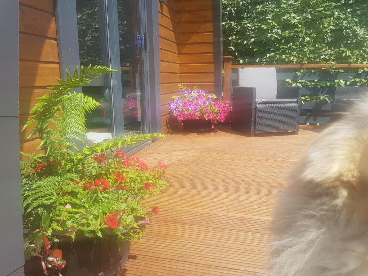 Glamorous Glamping Belmullet Ngoại thất bức ảnh